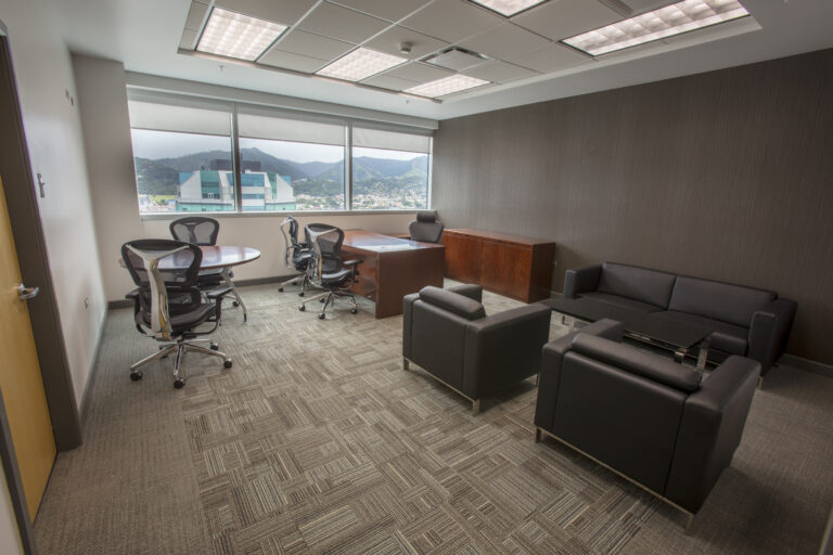 EXECUTIVE OFFICE LINE